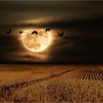 <span class="title">11月の満月『ビーバームーン』２０２５年.地球に一番近い満月</span>