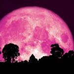 <span class="title">4月の満月『ピンクムーン』</span>